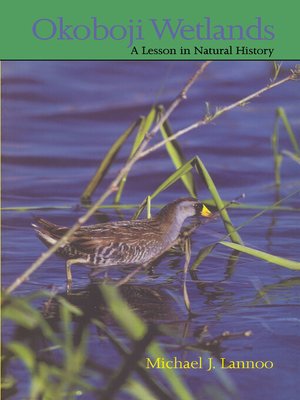 cover image of Okoboji Wetlands
